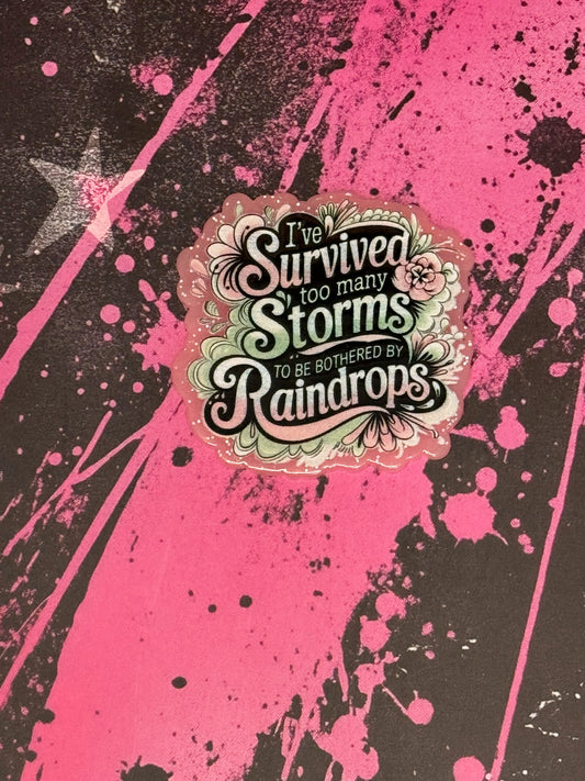 I survived too many storms